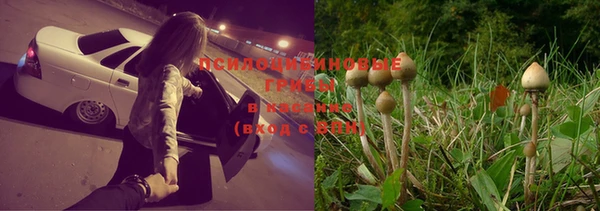 каннабис Армянск