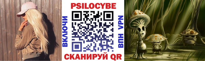 купить наркоту  Новодвинск  Псилоцибиновые грибы ЛСД 